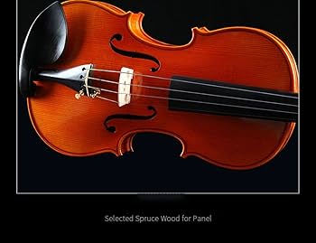 Amazon | バイオリン 楽器 バイオリン演奏大人手作りプロ練習用
